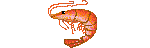 Shrimp